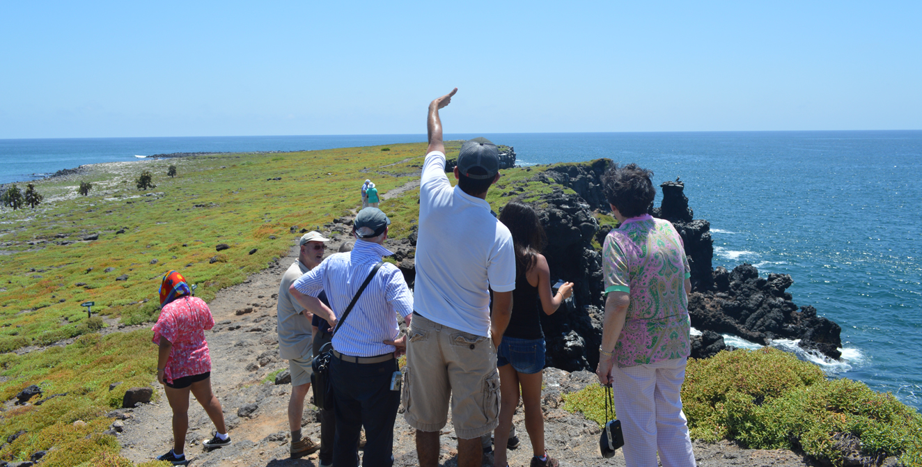 Related article image