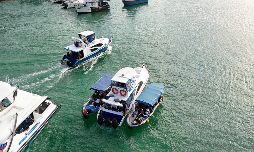 Related article image