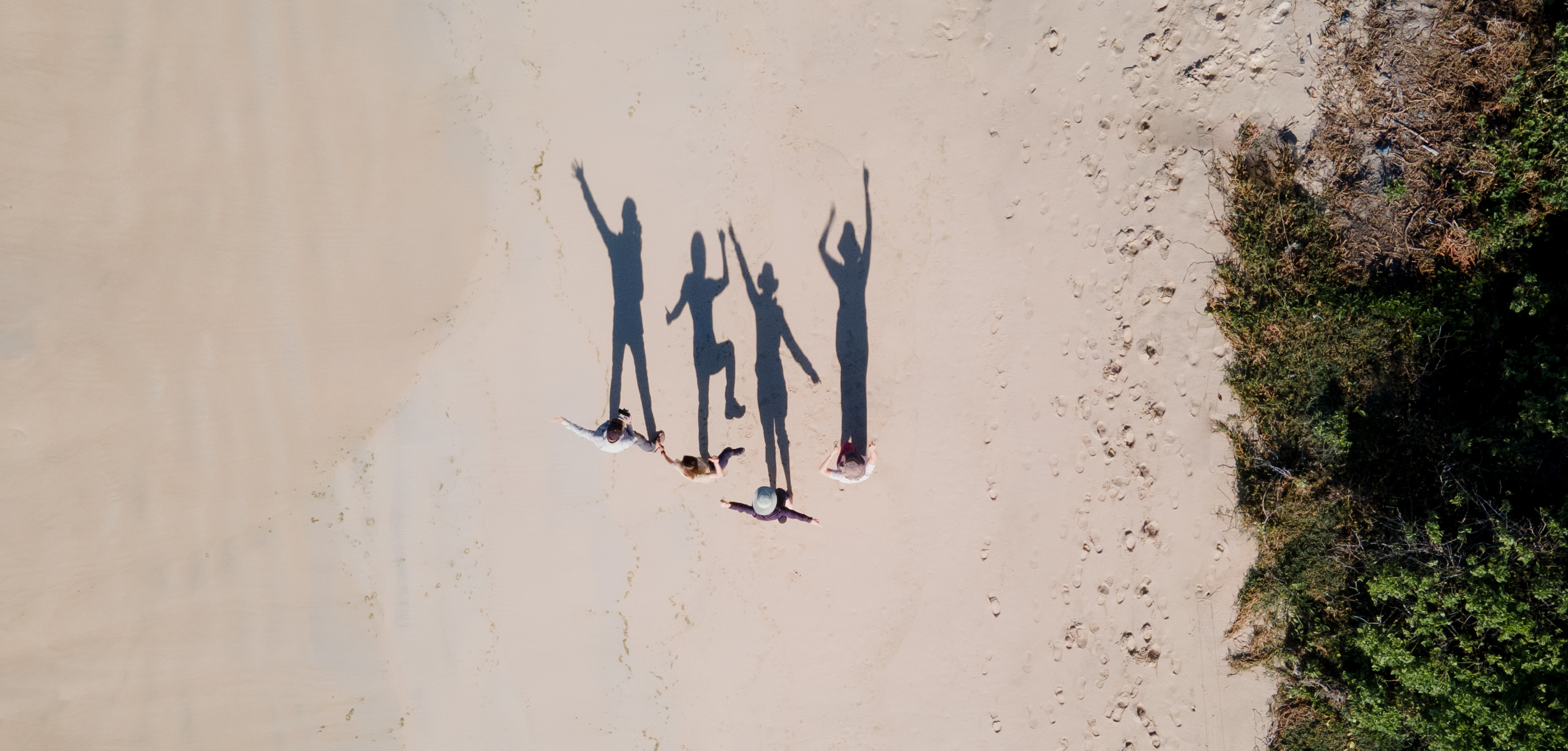 Related article image